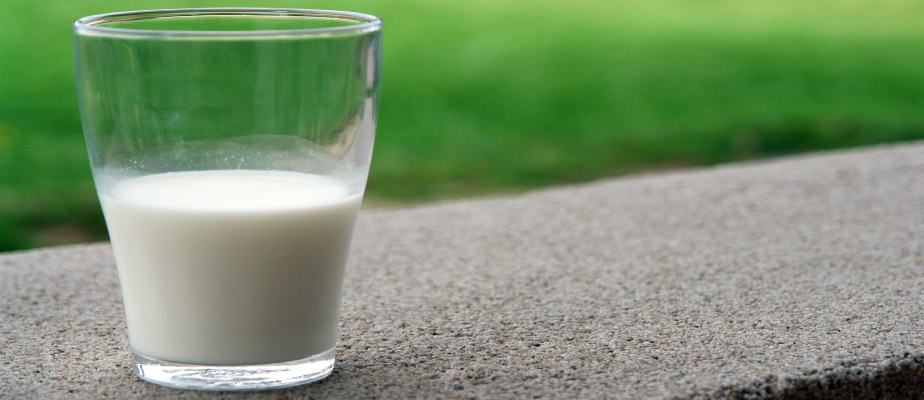 Glass of cow's milk to preserve a knocked-out tooth on a concrete curb next to a lawn of grass