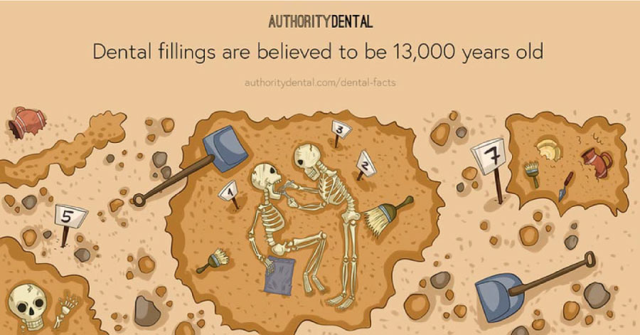 Cartoon stating that fillings have been around 13,000 years.
