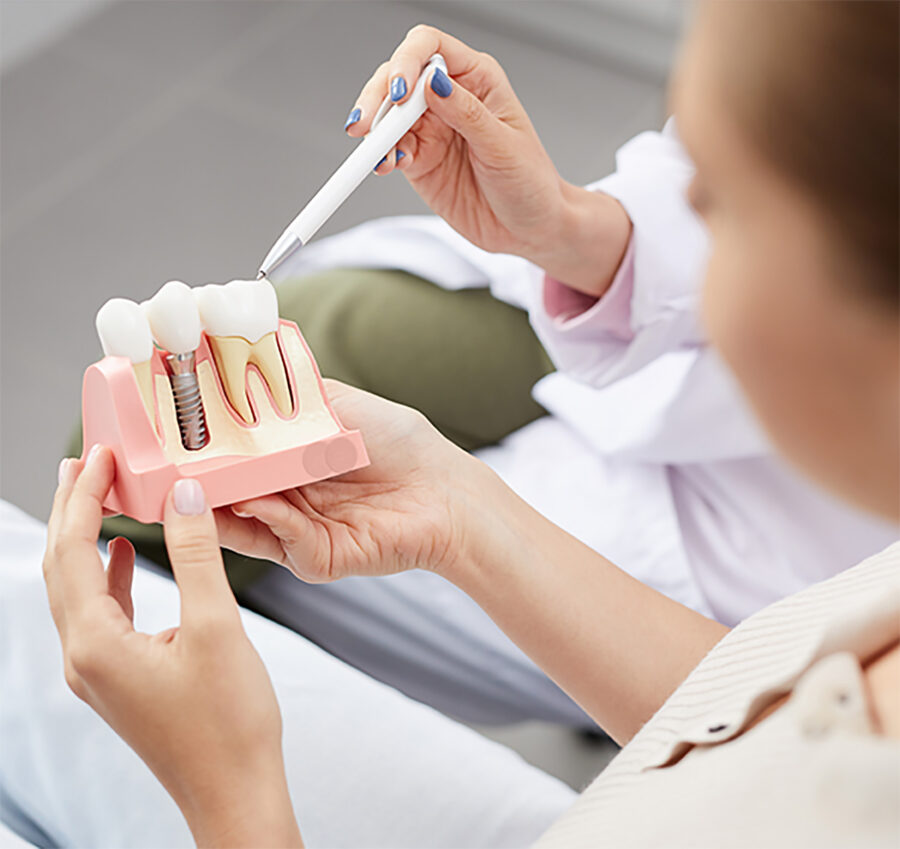 dental professional using dental implant model to explain dental implants to patient